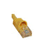 ICC-ICPCSK14YL