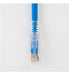  ICC-ICPCST25BL