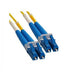ICC-ICFOJ1M505