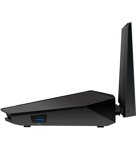 NET-RAX30-100NAS