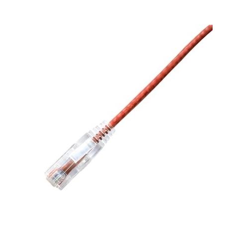 LYN-CPCS-6RD-005F