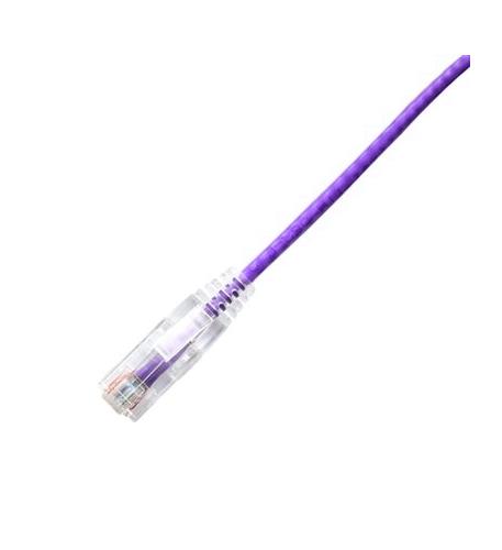 LYN-CPCS-6PR-003F