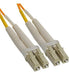 ICC-ICFOJ1M303