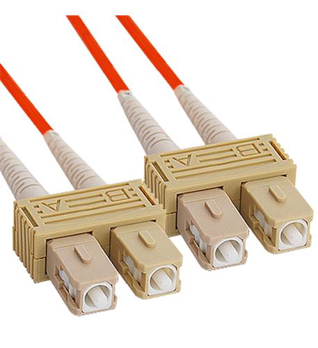 Primary