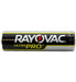 RAY-ALAAA-24