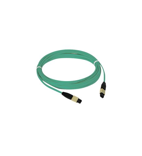 ICC-ICFOJATG30