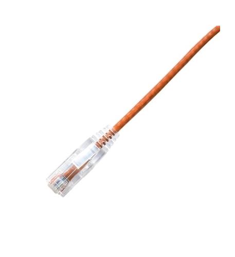 LYN-CPCS-6OR-003F